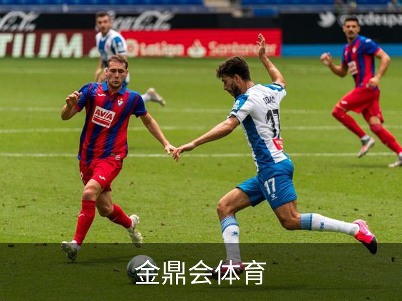 金鼎会官网-体育娱乐互动平台